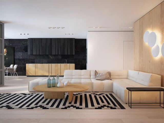 黑白浅木色的简约现代风格住宅设计